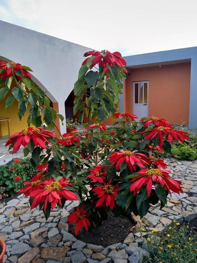 Casa Alcindo Bed & Breakfast Portela