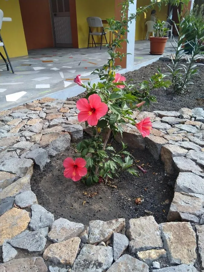 Casa Alcindo Bed & Breakfast Portela Yeşil Burun Adaları
